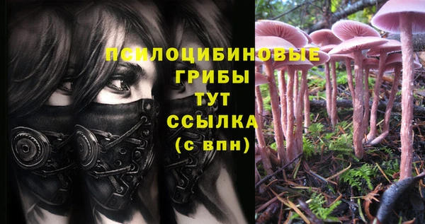 меф Каменногорск
