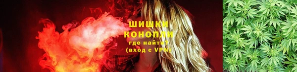 apvp Заводоуковск