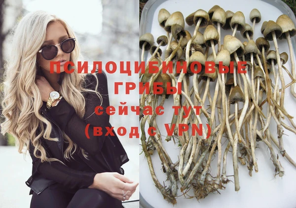 apvp Заводоуковск